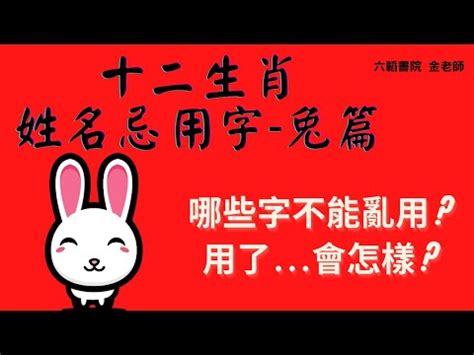 6劃的字屬兔